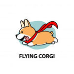 FlayingCorgi